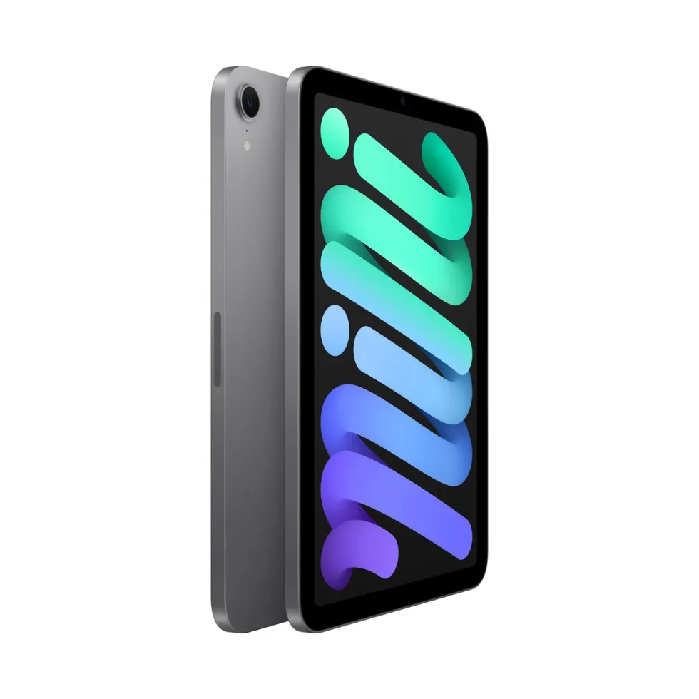 Apple iPad mini (A17 Pro) 128 GB Wifi Romgrå