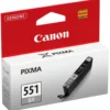 Canon CLI-551 GY - Grå