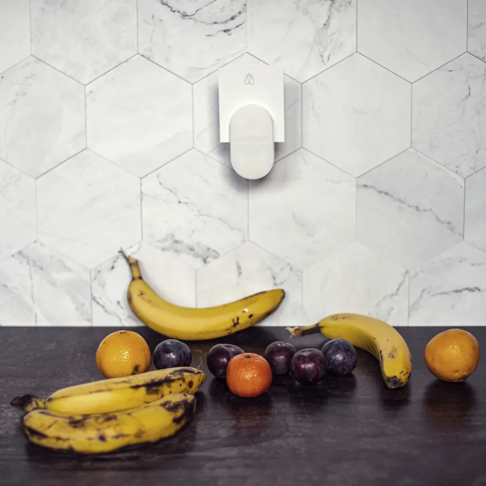 Dynatrap Felle for bananfluer
