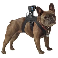 Gopro Hero 13 Black