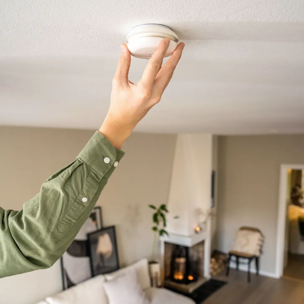 Housegard Pebble Link Trådløs røykvarsler 2-pk.