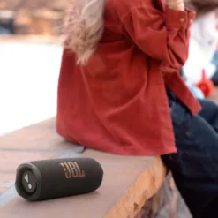 JBL Flip 7 Portabel trådløs høyttaler Svart
