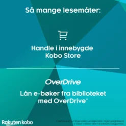 Kobo Notebook Elipsa 2E med Kobo Stylus 2