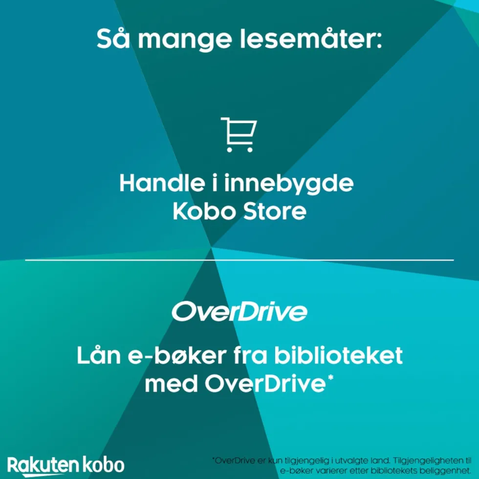 Kobo Notebook Elipsa 2E med Kobo Stylus 2