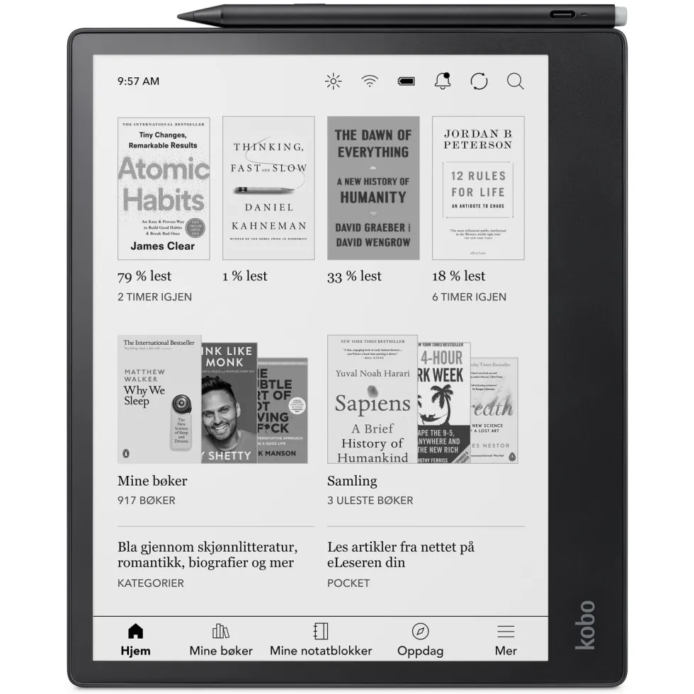 Kobo Notebook Elipsa 2E med Kobo Stylus 2