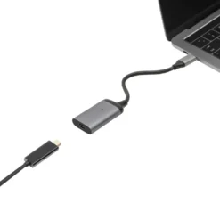 Luxorparts Adapter USB-C til Mini-displayport