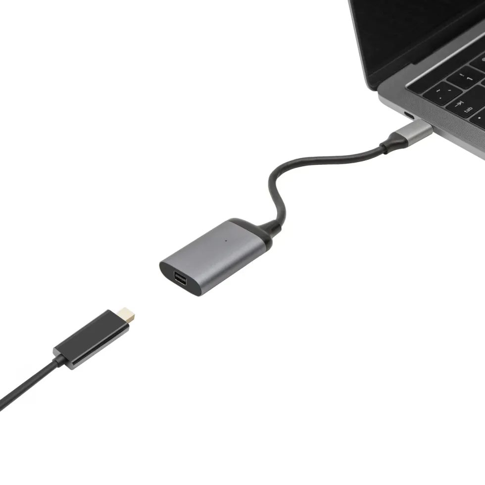 Luxorparts Adapter USB-C til Mini-displayport