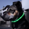 Luxorparts Oppladbart hundehalsbånd med LED