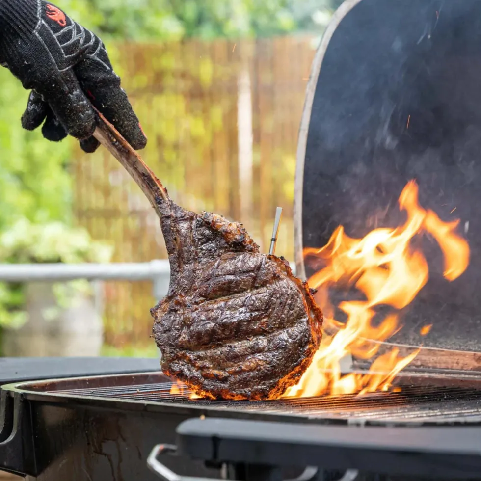 Meater Pro Trådløs Grilltermometer og repeater for mobilen