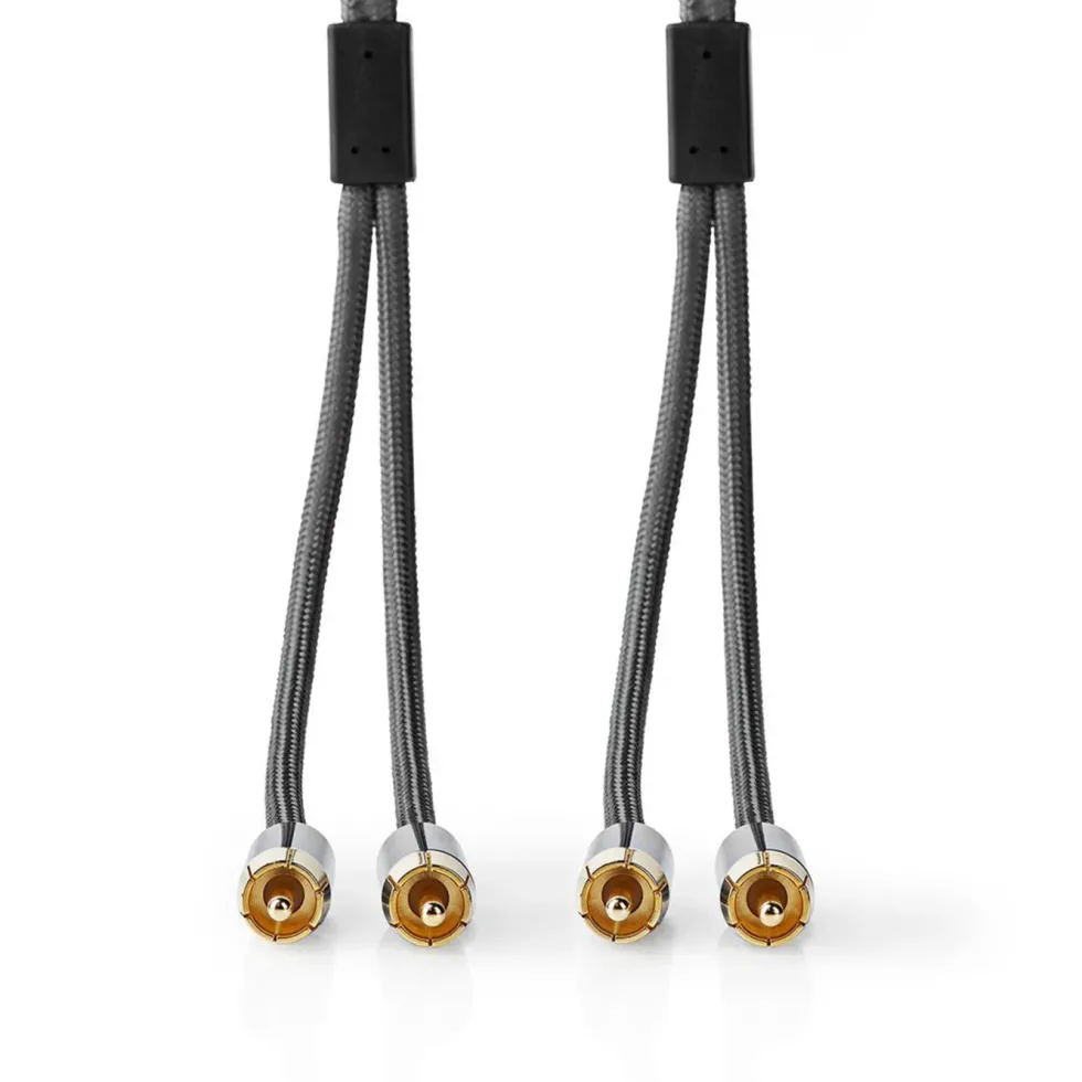 Nedis Stereolydkabel med doble RCA-kontakter 2 m