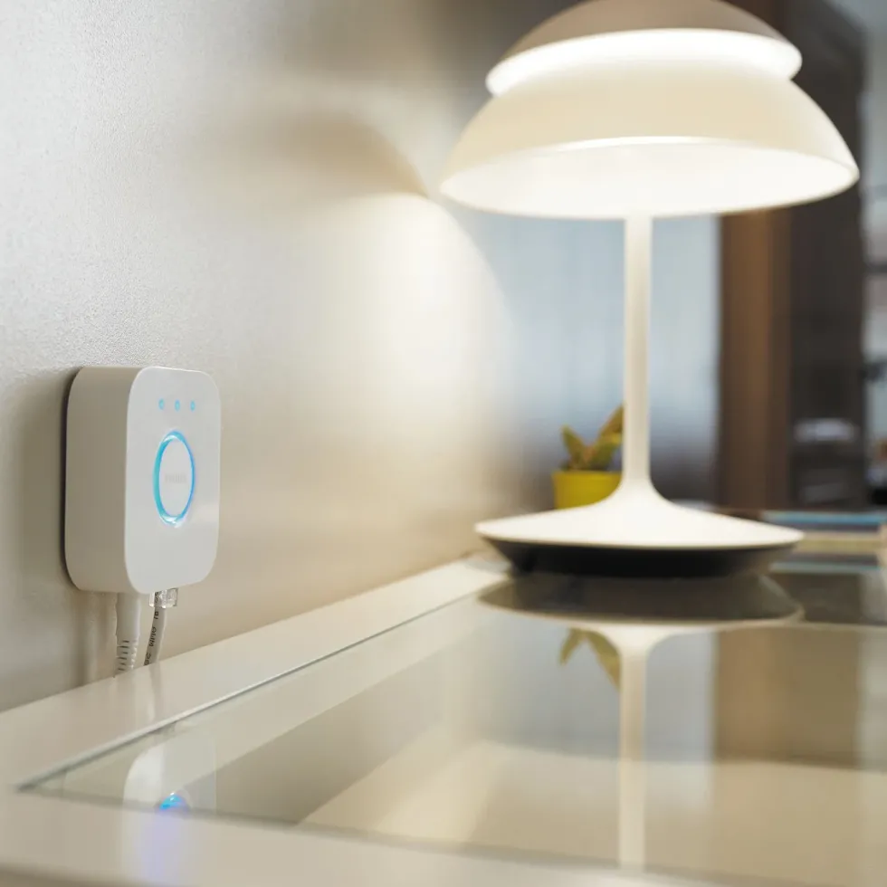 Philips Hue Bridge Bro