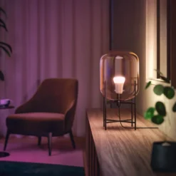 Philips Hue Color Ambiance Smart LED-pære E27 806 lm 2-pk