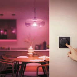 Philips Hue Tap Dial Switch Fjernkontroll Svart