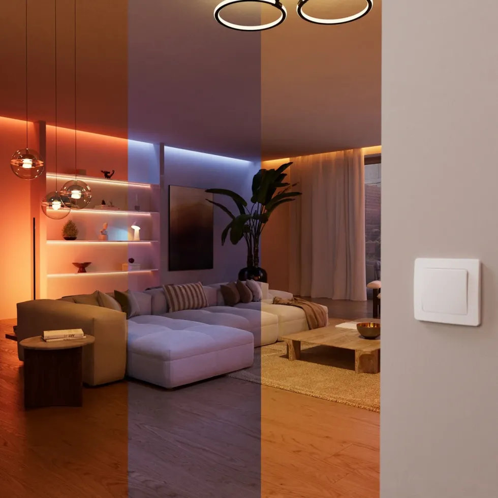Philips Hue Wired Wall Switch Module 1-pakning