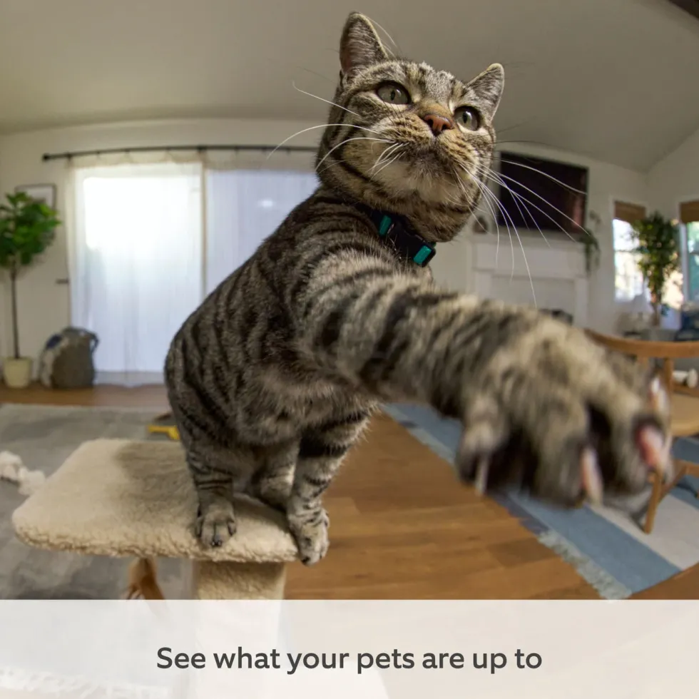Ring Pan-Tilt Indoor Camera Svart