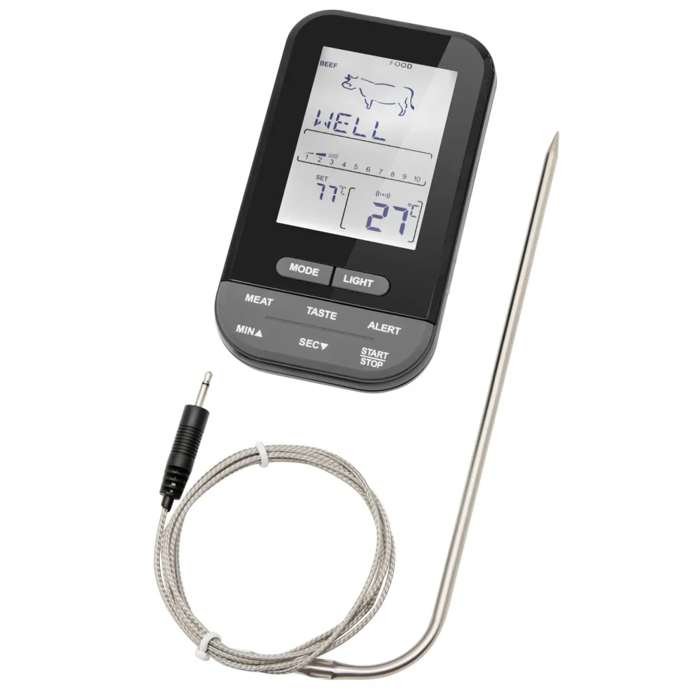 Rubicson Steketermometer