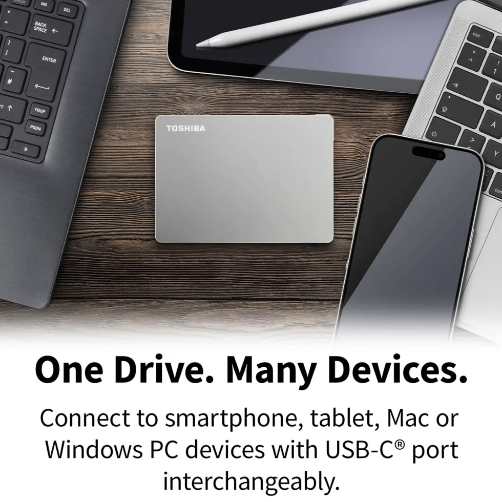 Toshiba Canvio Flex Silver 1 TB
