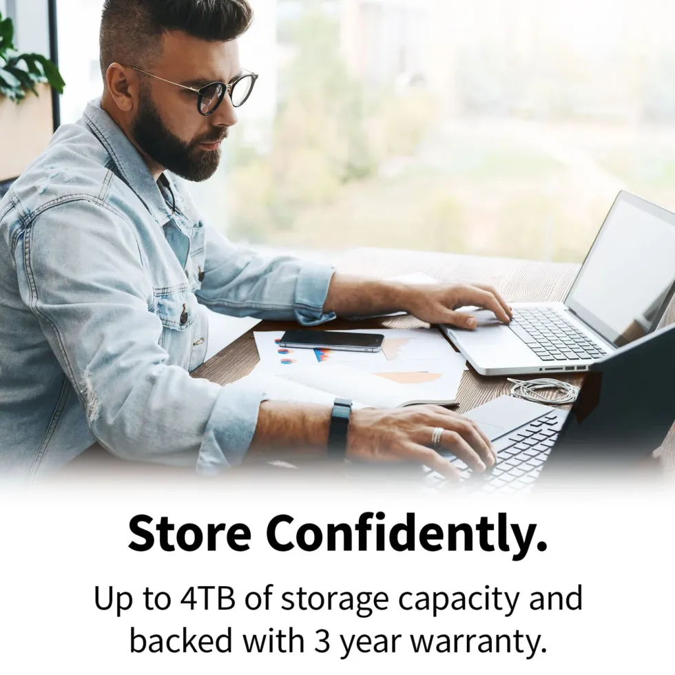 Toshiba Canvio Flex Silver 2 TB