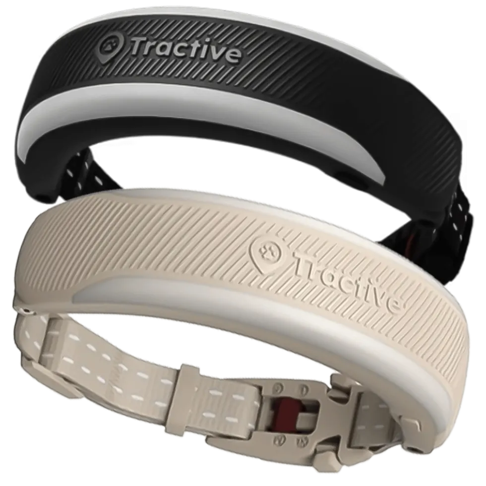 Tractive CAT 6 Mini GPS-halsbånd for katt med helsesporing Brun