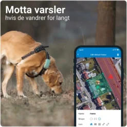Tractive DOG XL GPS-sporingsbrikke for hund