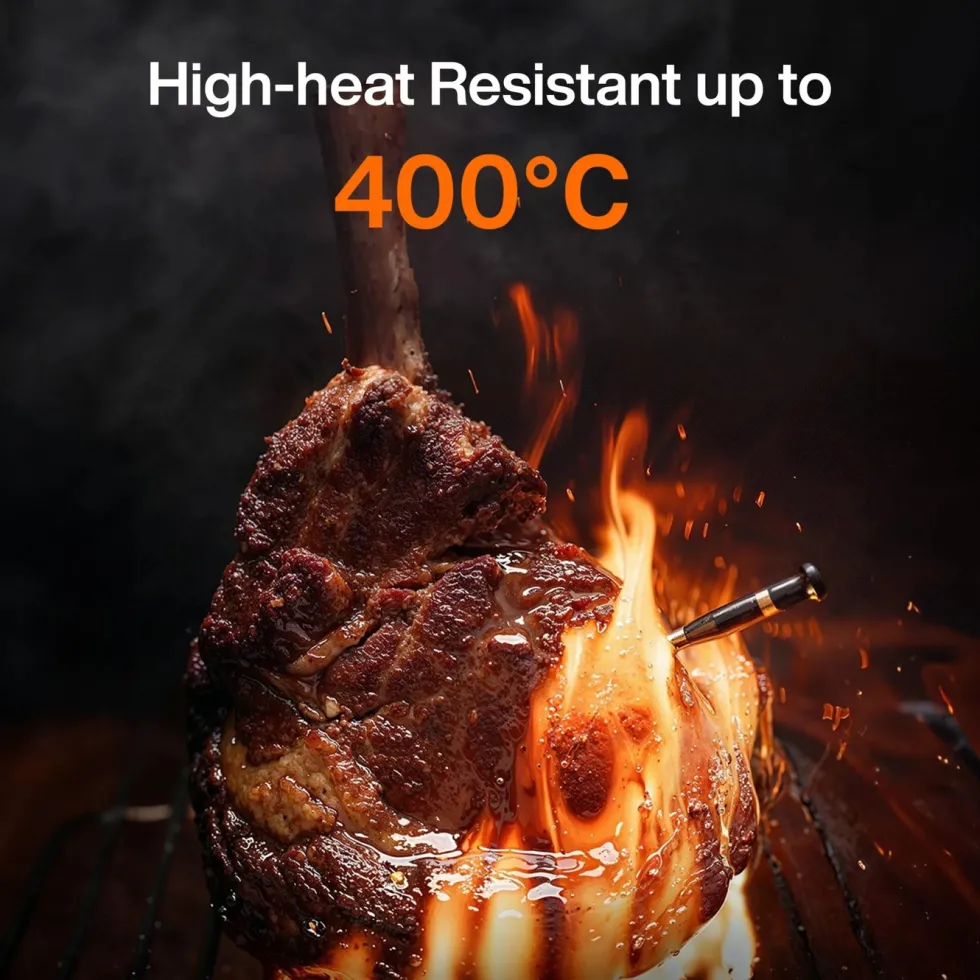 Typhur Sync Dual trådløst grill- og steketermometer med to sonder