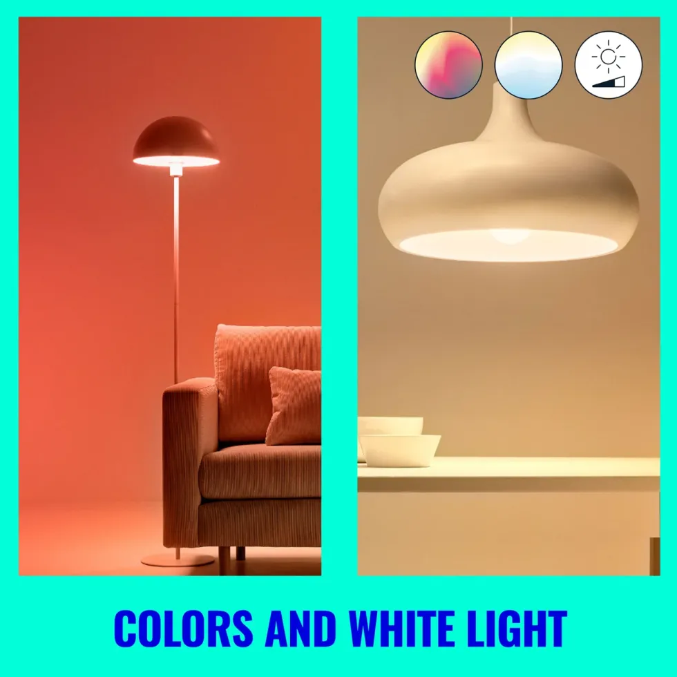 WiZ Color G95 Smart LED-pære E27 1055 lm